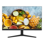 Monitor 24 inch, E-LED, 1080P, 60Hz - HIKVISION DS-D5024FN10