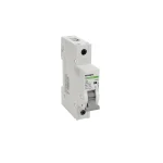 Mini-întreruptoare automate Ex9BH-JC 1P D2A EU
