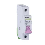 Mini-întreruptoare automate Ex9BH 1P D40