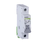 Mini-întreruptoare automate Ex9BN 1P B25