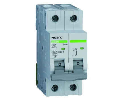 Mini-întreruptoare automate Ex9BN 2P D63