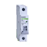 Mini-întreruptoare automate Ex9BS 1PN B25
